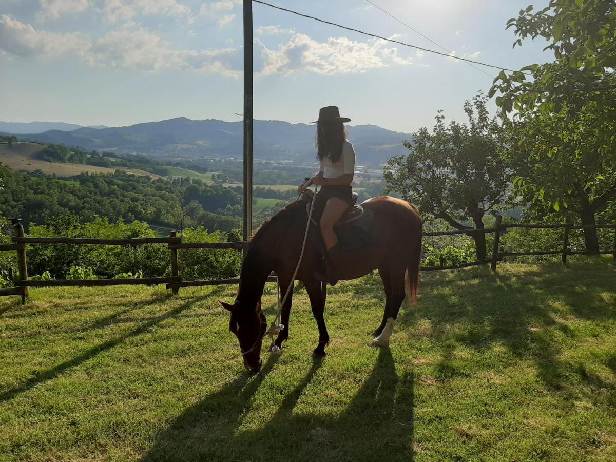 Holidays Ca Tassino Urbino Buitenkant foto